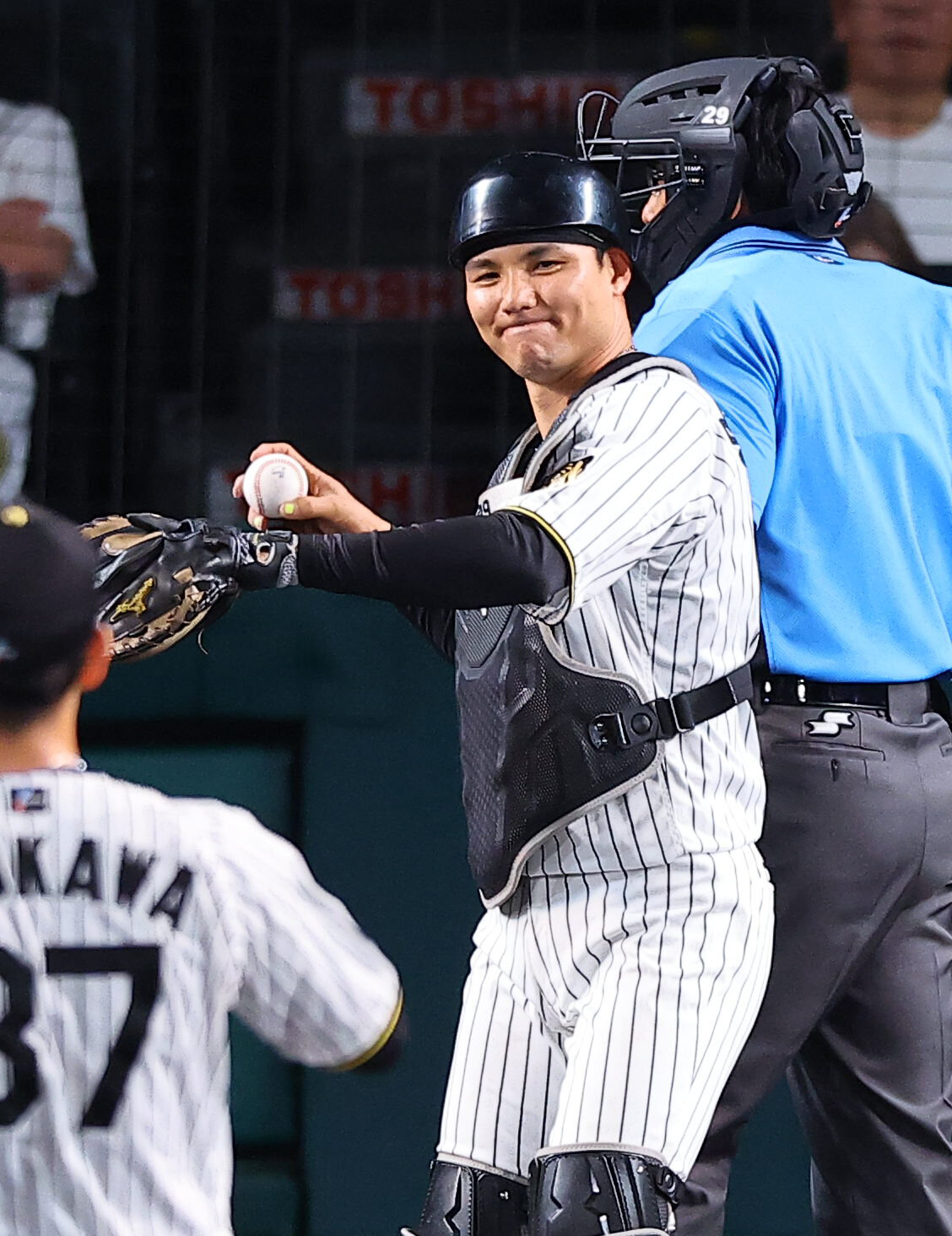 阪神対西武　今季初出場の栄枝裕貴（撮影・上田博志)