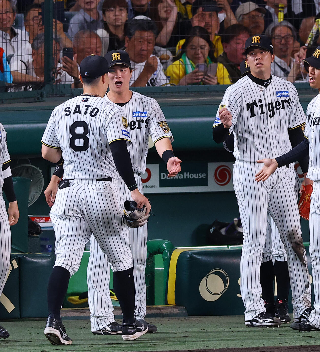 阪神対西武　6回表西武2死一塁、才木浩人（右）は石井一成の右飛を好捕した佐藤輝明を出迎える（撮影・上田博志)