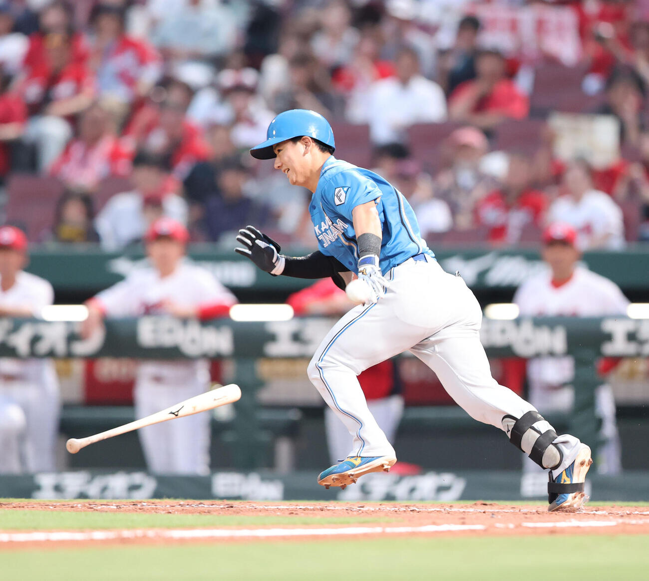 広島対日本ハム　4回表日本ハム2死三塁、大塚瑠晏はスクイズを決める（撮影・梅根麻紀）
