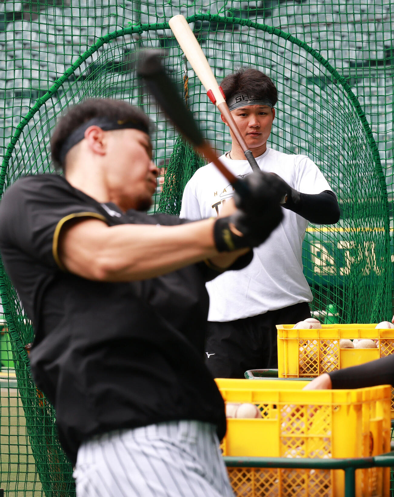 阪神対楽天　ティー打撃練習する阪神佐藤輝明（手前）を見る阪神森下翔太（撮影・上山淳一）