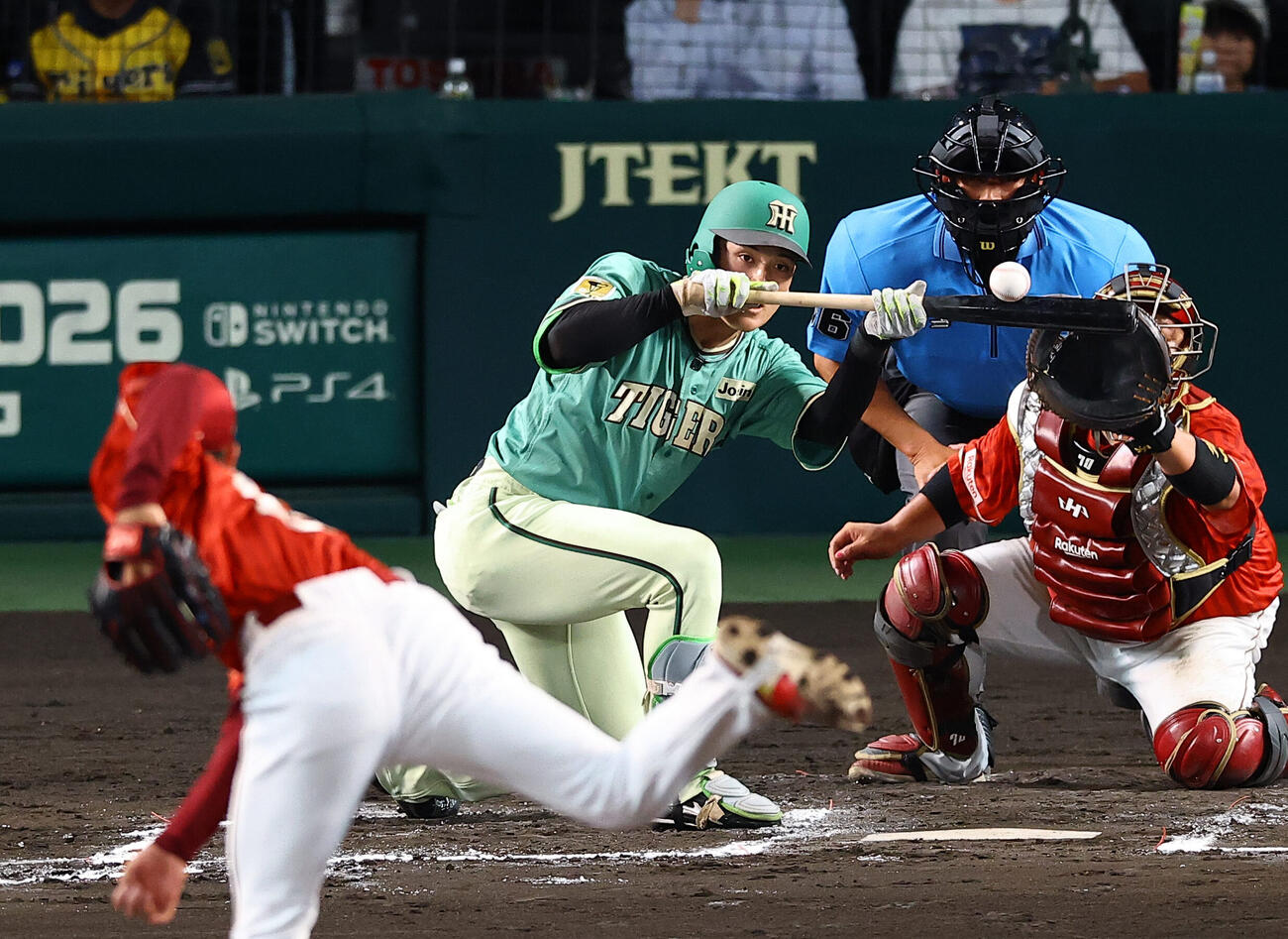 阪神対楽天　6回裏阪神1死一、三塁、高寺望夢はスクイズを決める（撮影・上田博志)　甲子園球場、阪神対楽天3回戦