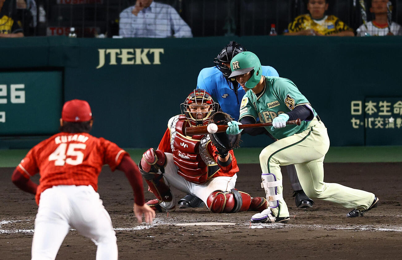 阪神対楽天　8回裏阪神無死一、二塁、坂本誠志郎は送りバントを決める（撮影・上田博志)　甲子園球場、阪神対楽天3回戦