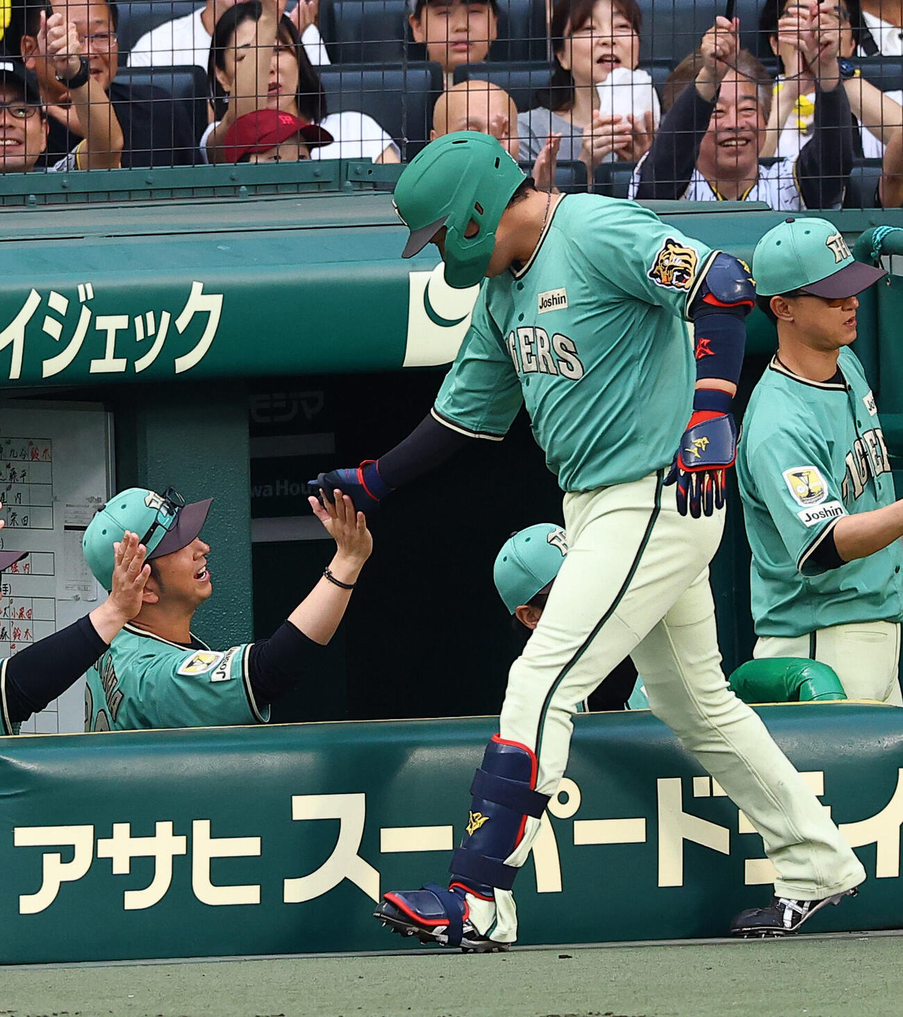 阪神対楽天　2回裏阪神無死一塁、先制2点本塁打を放った大山悠輔をハイタッチで出迎える藤川球児監督（撮影・上田博志)　甲子園球場、阪神対楽天3回戦