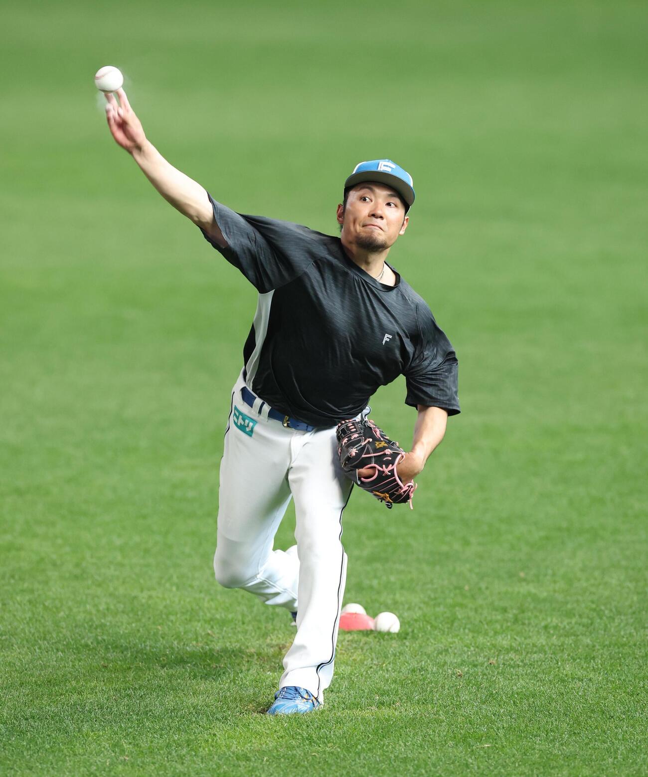 キャッチボールする日本ハム伊藤大海（撮影・黒川智章）