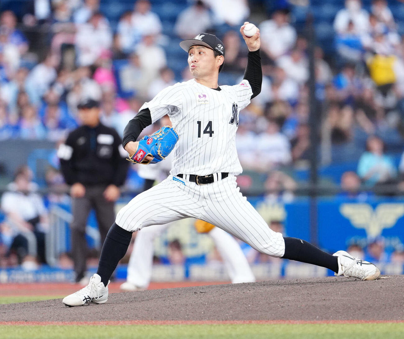 ロッテ小島和哉（2026年6月撮影）