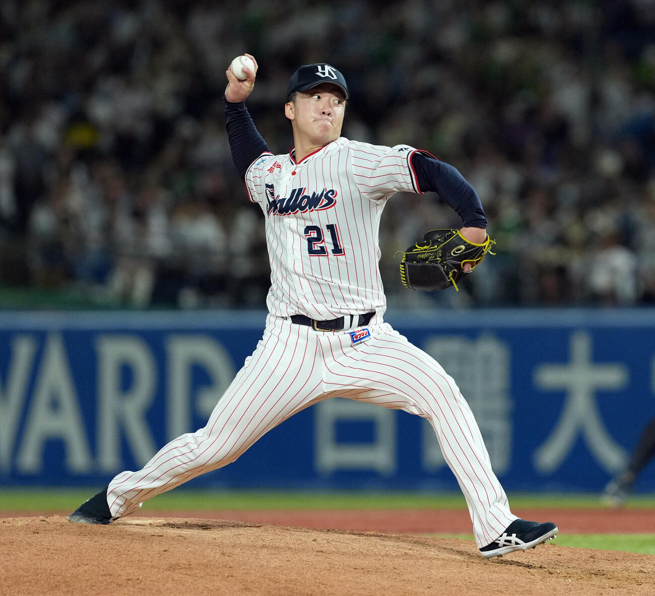 ヤクルト体広島　力投するヤクルトの先発吉村貢司郎（撮影・たえ見朱実）