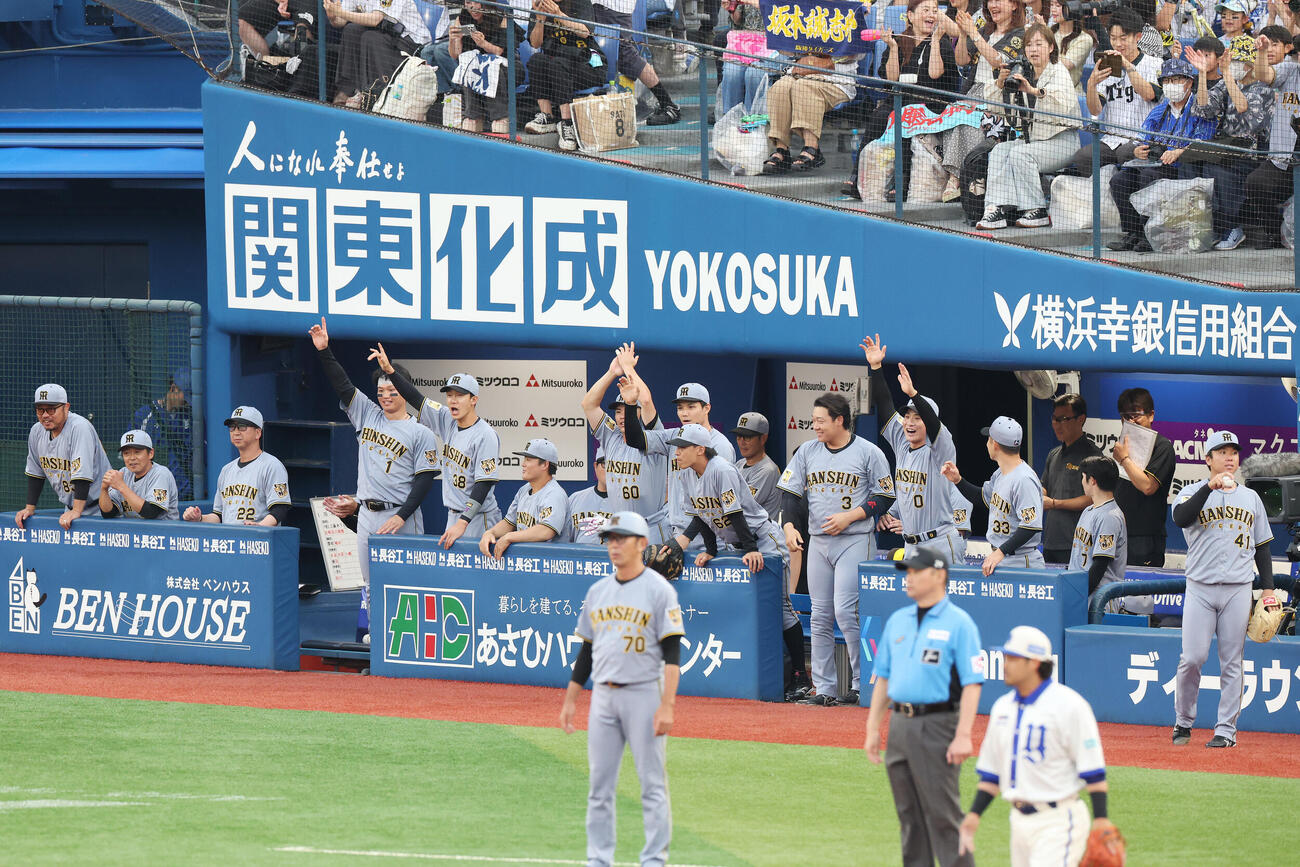 DeNA対阪神　1回表阪神2死二塁、坂本誠志郎が2点本塁打を放ち盛り上がる阪神の選手たち（撮影・宮地輝）