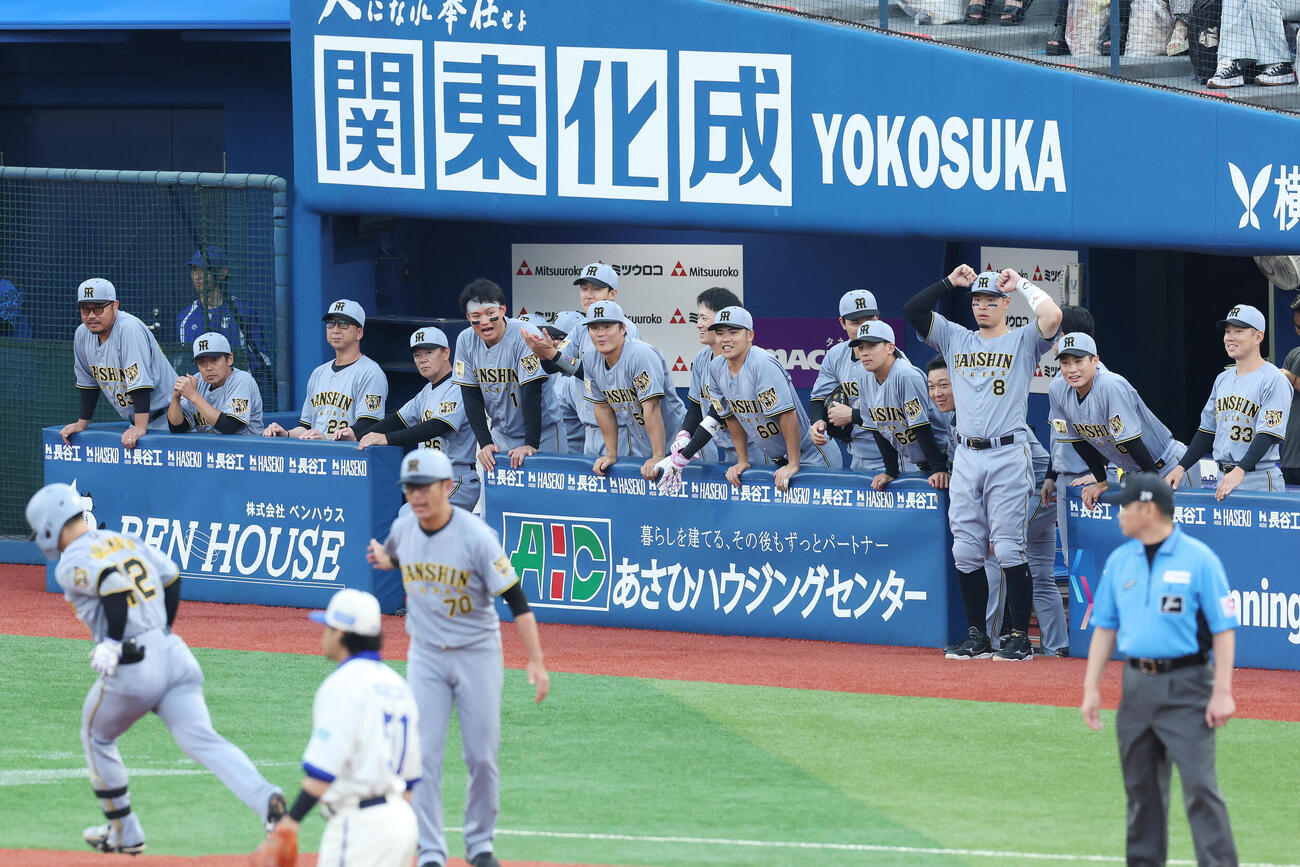 DeNA対阪神　1回表阪神2死二塁、坂本誠志郎が2点本塁打を放ち盛り上がる阪神の選手たち（撮影・宮地輝）