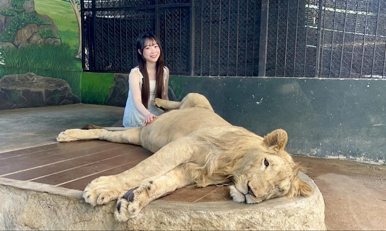 ファイターズガール南部彩華のお気に入り写真