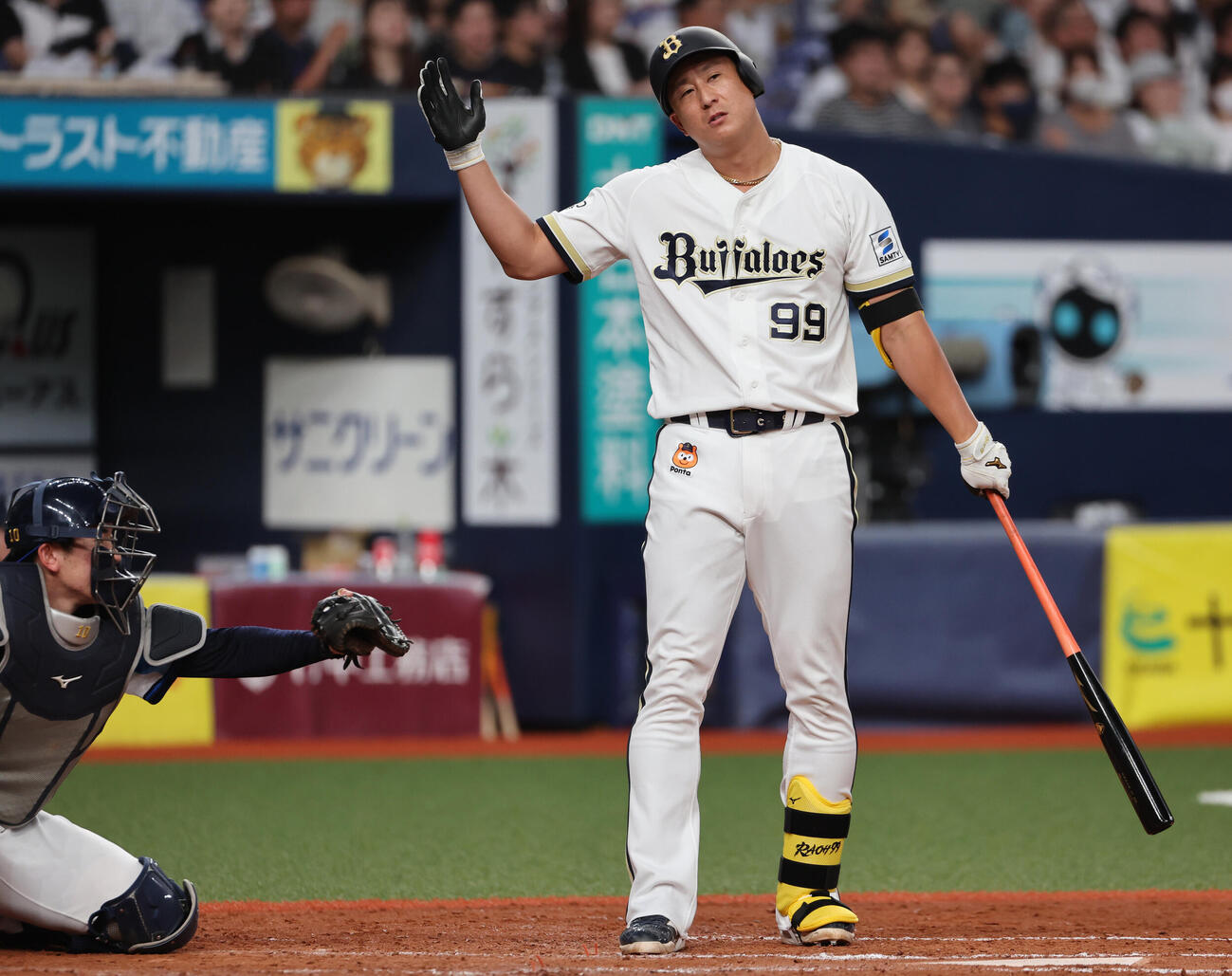 オリックス対西武　5回裏オリックス2死、杉本裕太郎は見逃し三振に倒れお手上げポーズ（撮影・西尾就之）