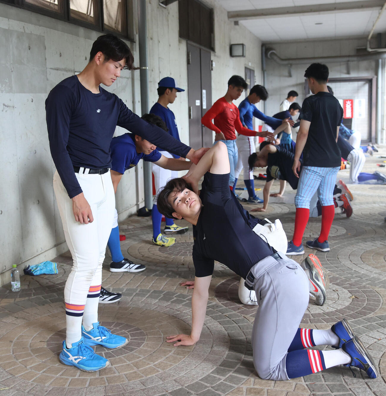 大学代表選考合宿でストレッチする慶大・渡辺和大（右）と東北福祉大・猪俣駿太（撮影・柴田隆二）