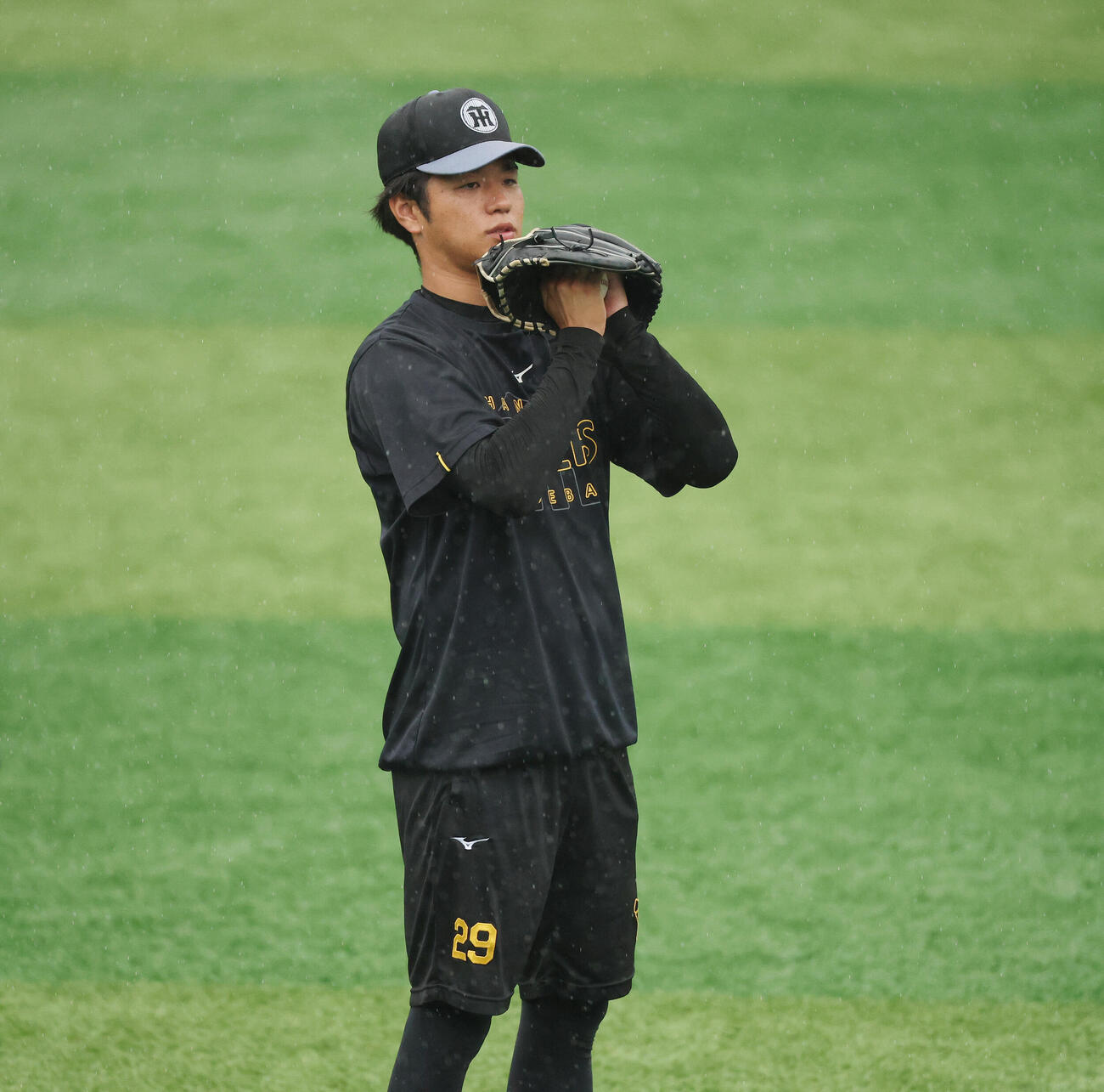 DeNA対阪神　雨で濡れたボールを拭く阪神高橋遥人（撮影・宮地輝）