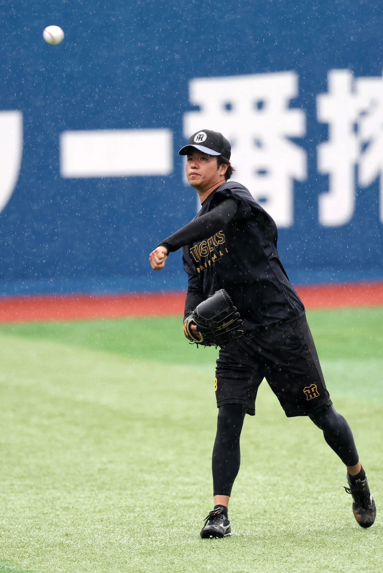 DeNA対阪神　雨の中、キャッチボールする阪神高橋遥人（撮影・浅見桂子）