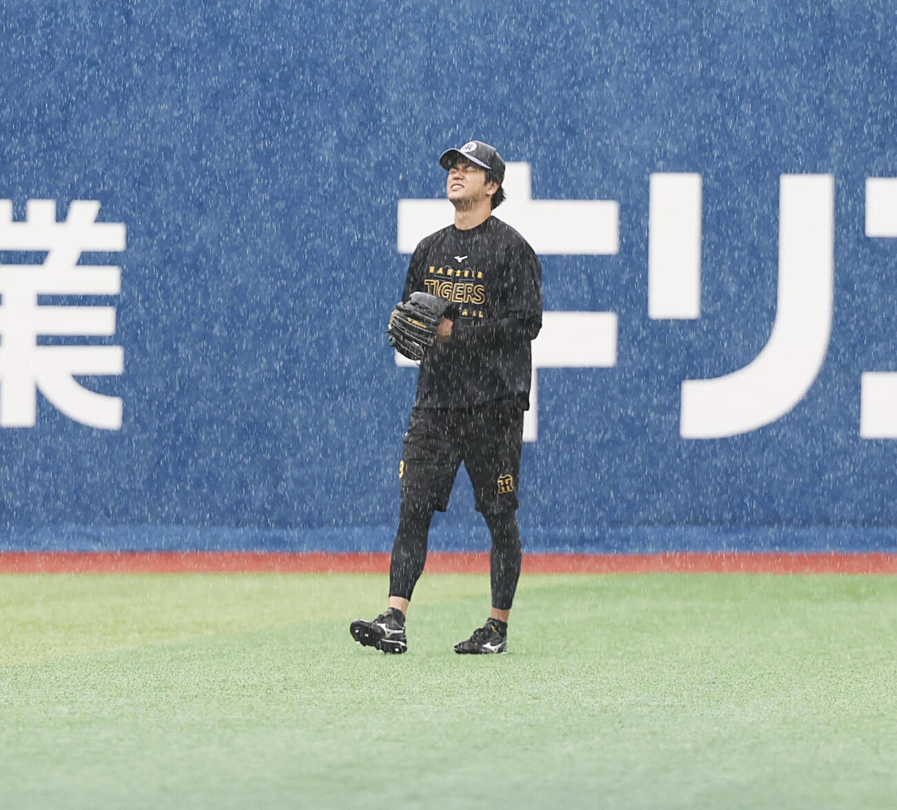 DeNA対阪神　雨が強まる中、顔をしかめる阪神高橋遥人(撮影・浅見桂子)