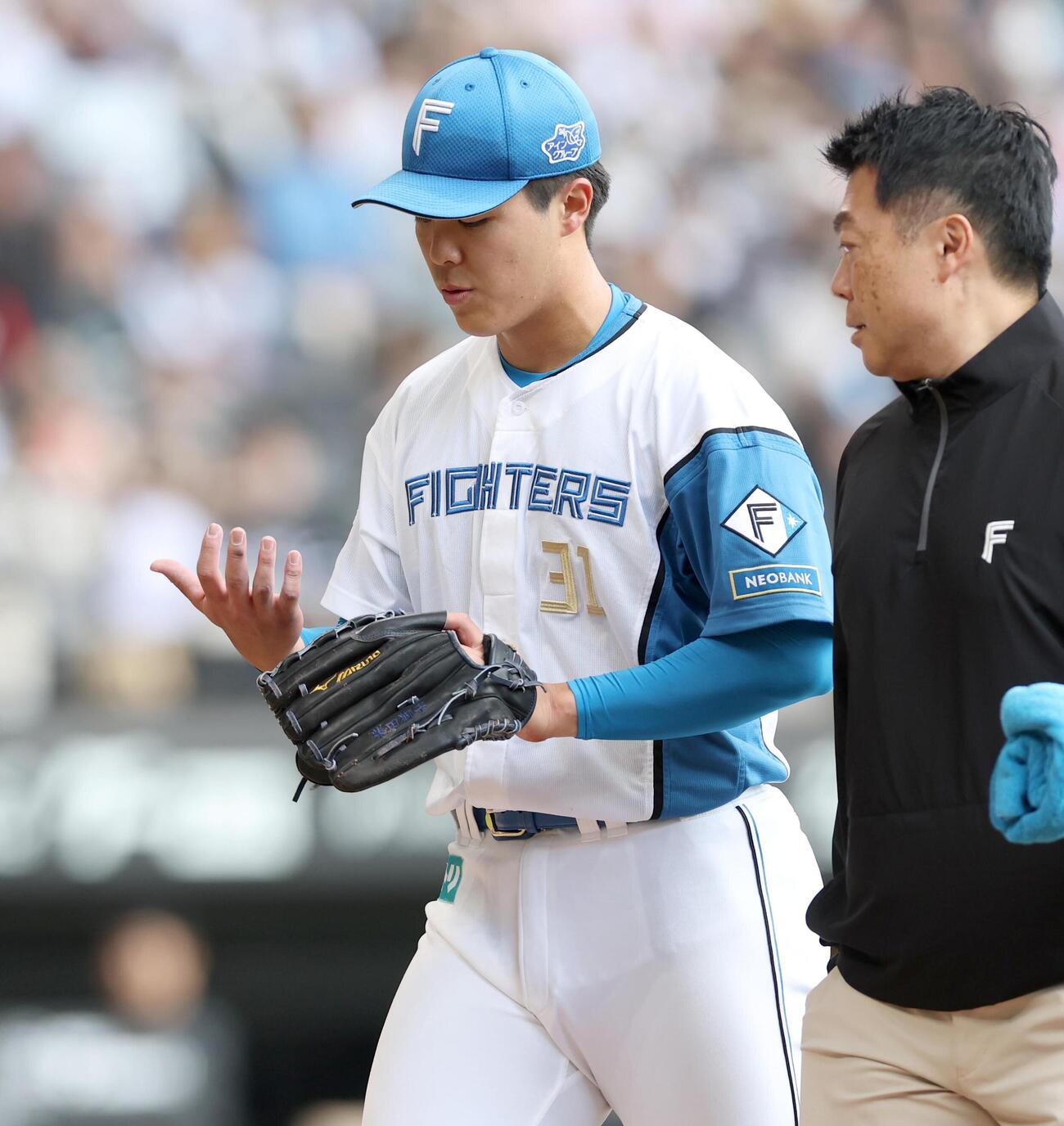 日本ハム対ソフトバンク　3回表ソフトバンク無死一塁、野村勇の打球が右手に当たり引き揚げる柴田獅子（撮影・黒川智章）