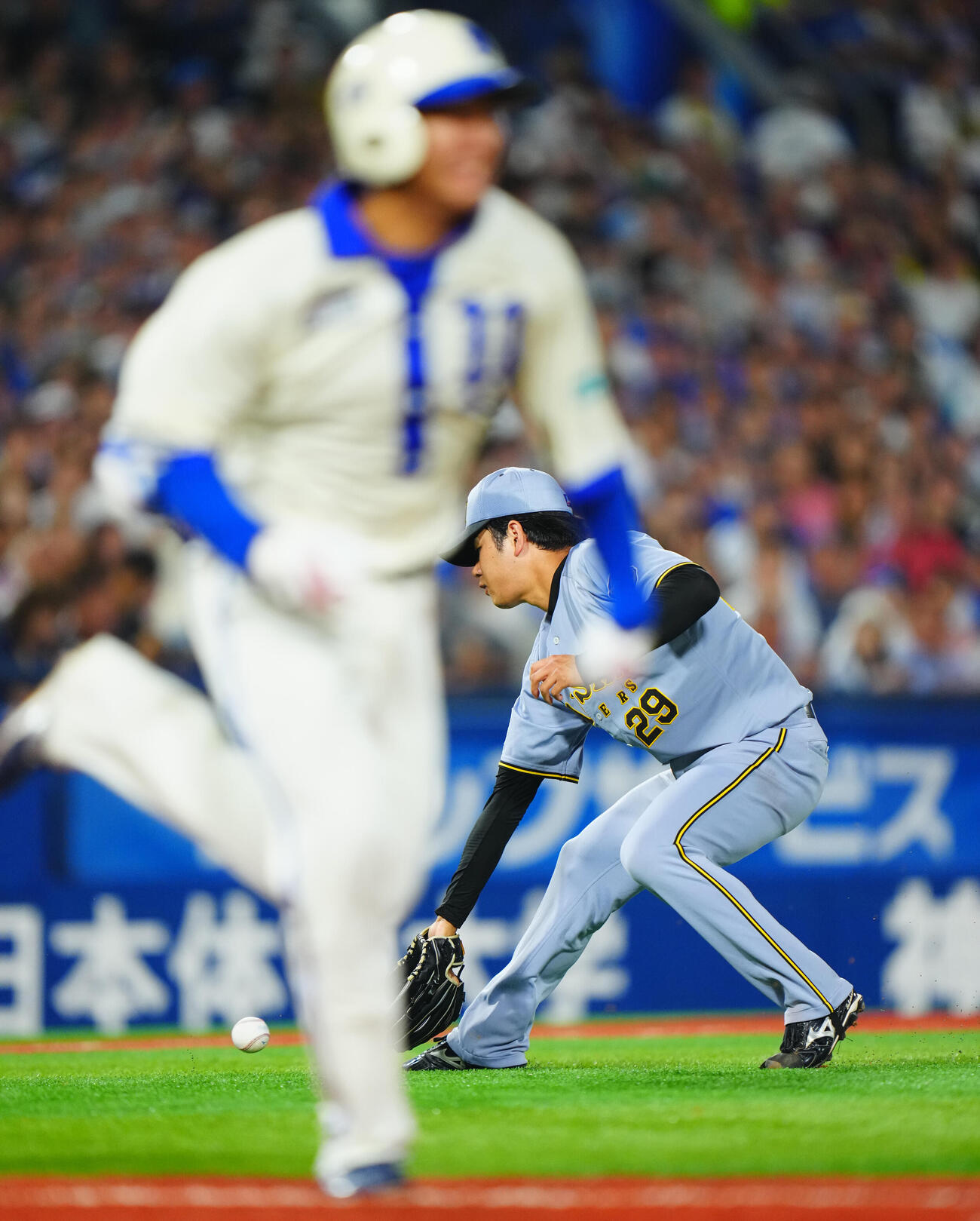 DeNA対阪神　3回裏DeNA1死、勝又温史（左）の投ゴロをさばく高橋遥人（撮影・垰建太）