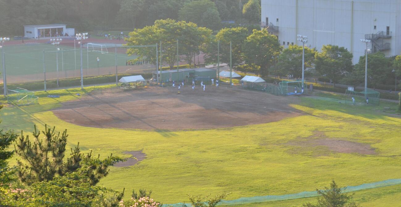 人工芝ではなかった駿河台大学の旧野球場（駿河台大学提供）