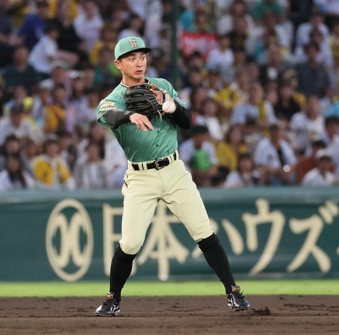 阪神熊谷敬宥（2026年6月17日撮影）