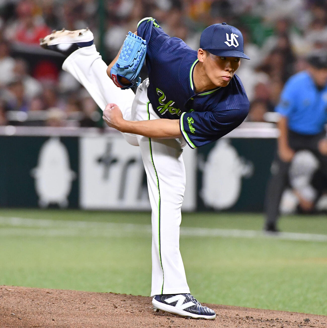 ヤクルト山野太一（2026年6月撮影）
