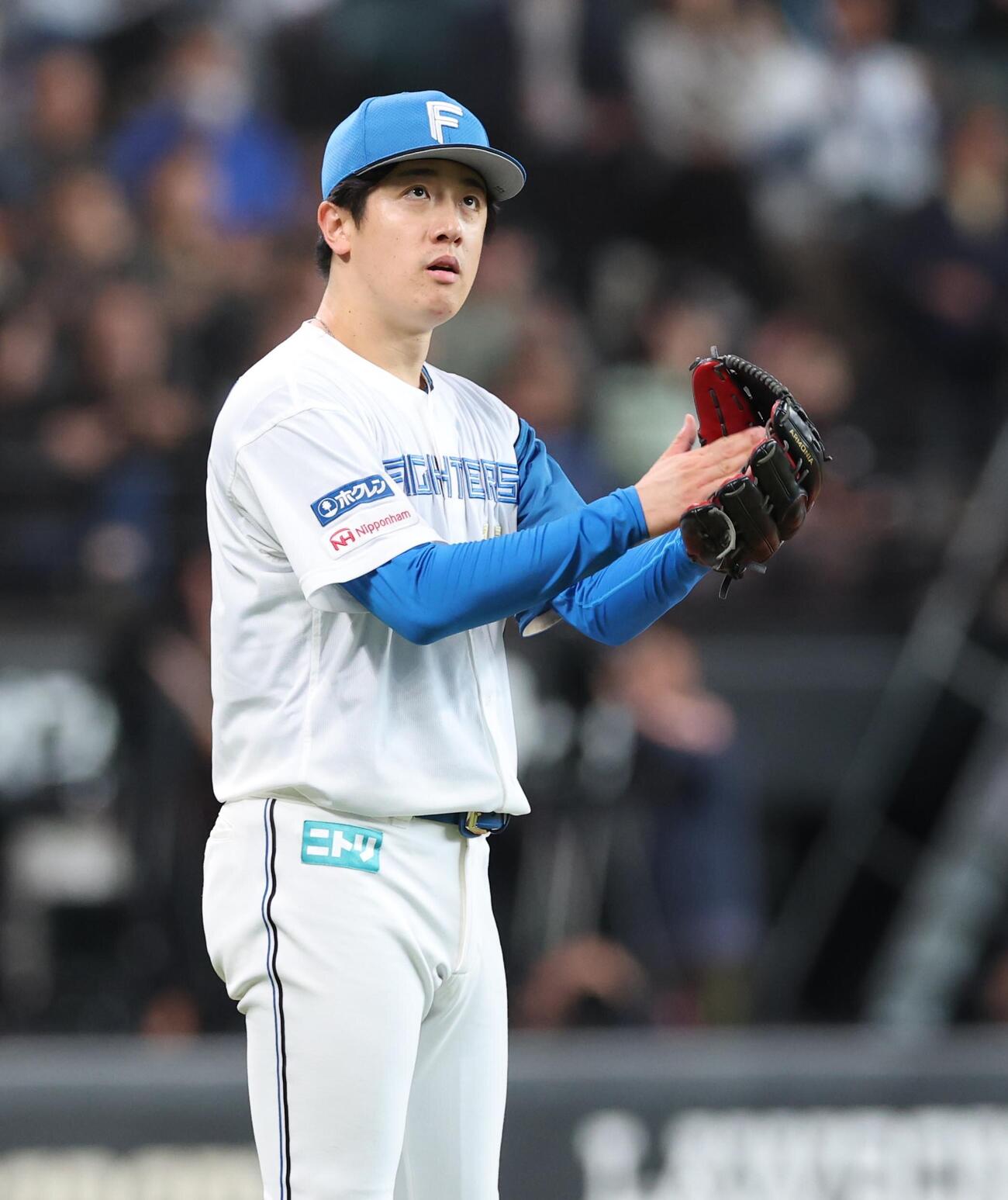 日本ハム対ロッテ　8回表ロッテ無死一塁、安田尚憲を併殺にとりグラブをたたく北山亘基（撮影・黒川智章）