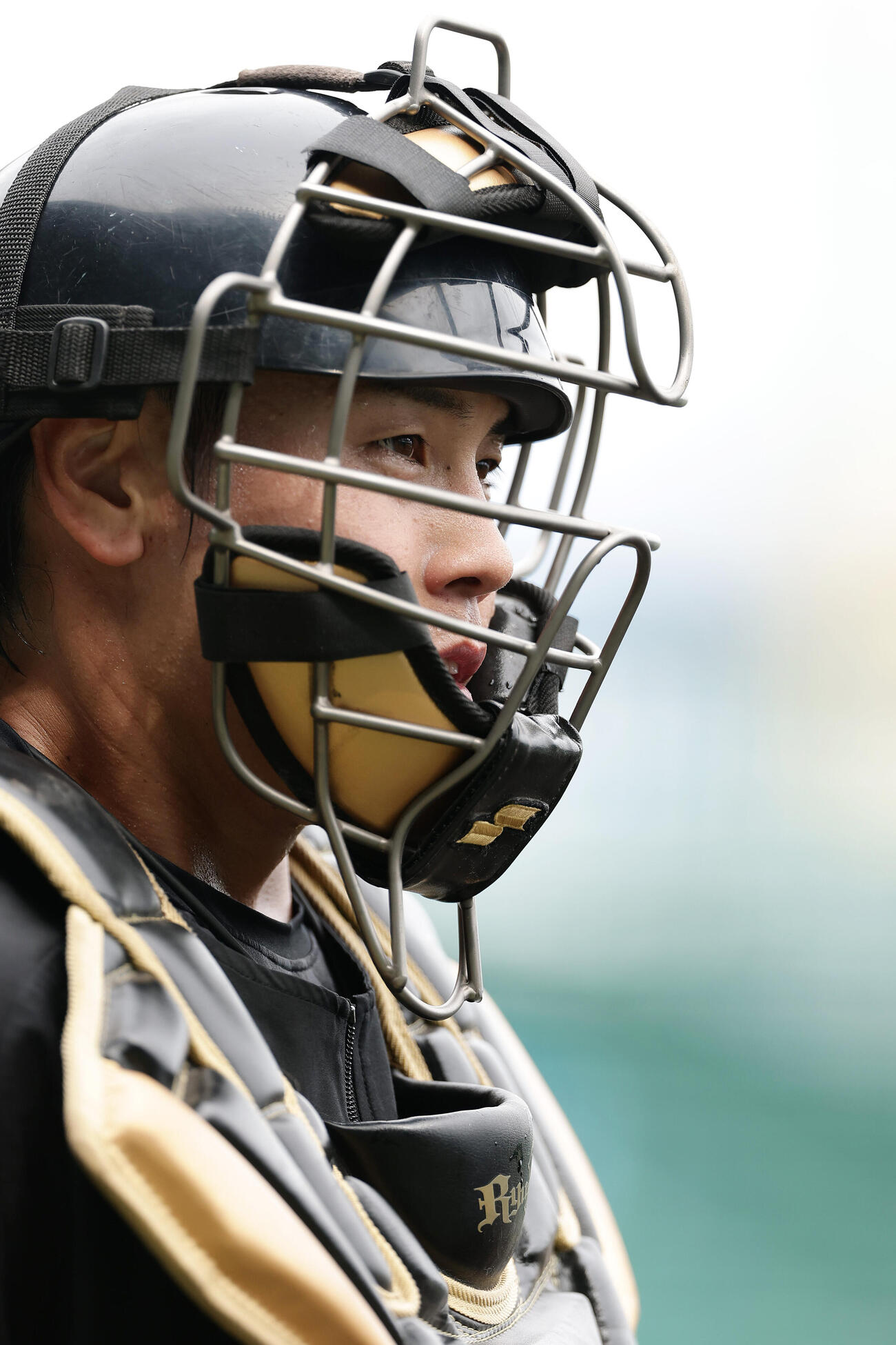 阪神対ヤクルト　試合前練習に臨む阪神梅野隆太郎（撮影・前田充）