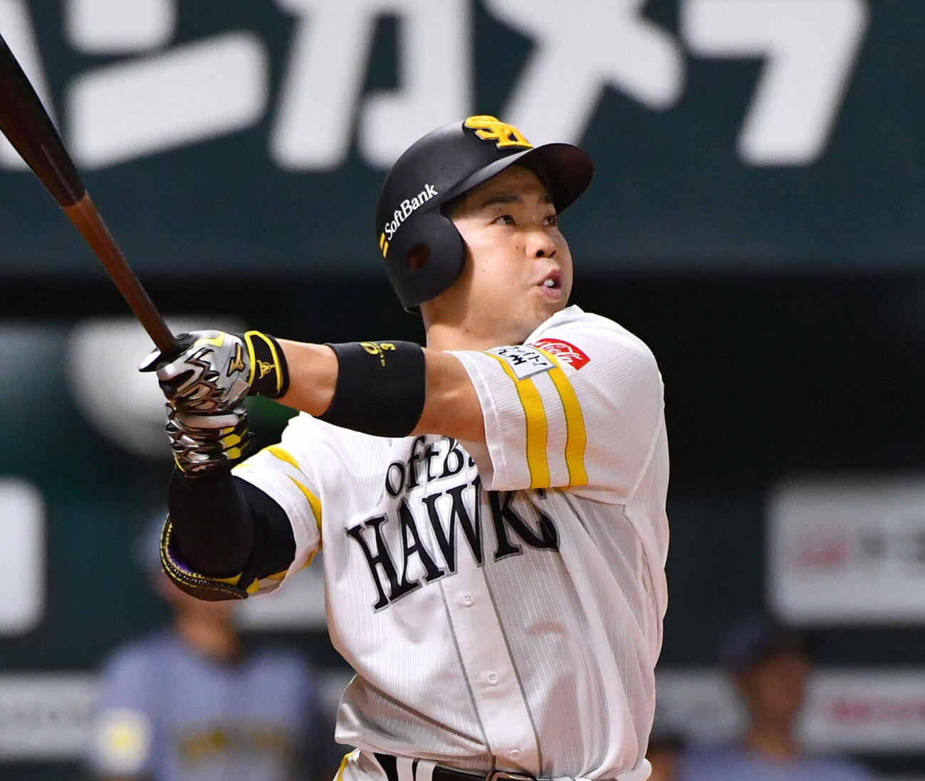 ソフトバンク近藤健介（2026年撮影）