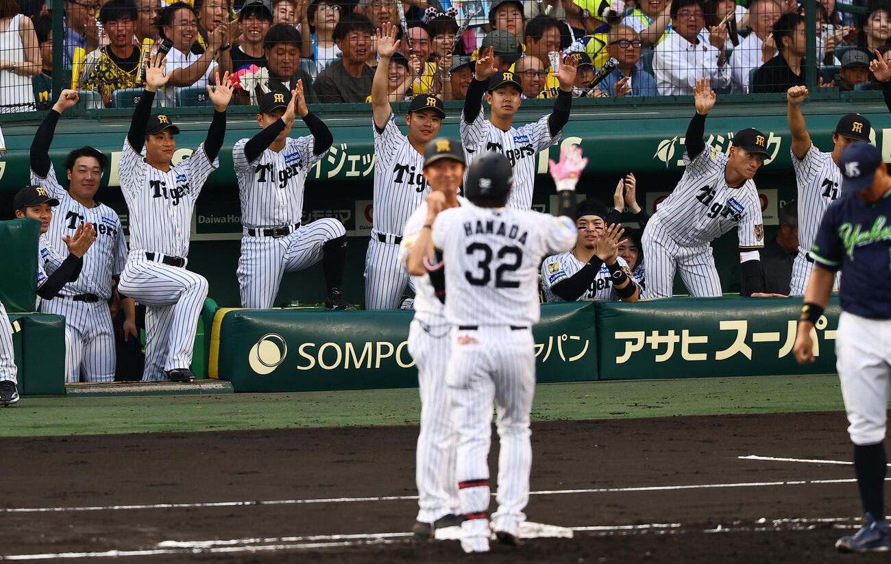 阪神対ヤクルト　2回裏阪神1死一塁、安打を放った浜田太貴をベンチから祝福する阪神ナイン（撮影・上田博志)