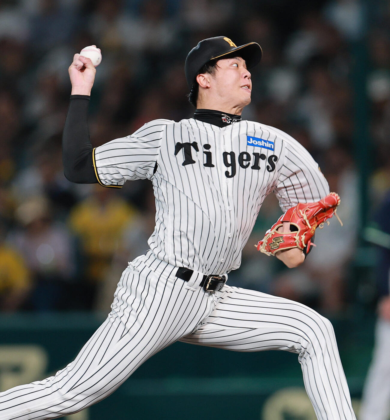 阪神対ヤクルト　6回表、力投する阪神才木浩人（撮影・上山淳一）
