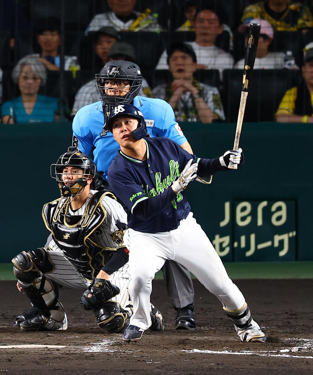 阪神対ヤクルト　8回表ヤクルト1死満塁、赤羽由紘は2点適時打を放つ（撮影・上田博志)