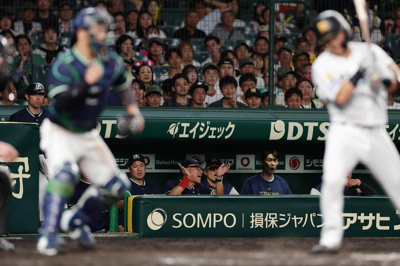 阪神対ヤクルト　阪神に勝利し、手をたたいて喜ぶヤクルト池山隆寛監督（中央）（撮影・前田充）