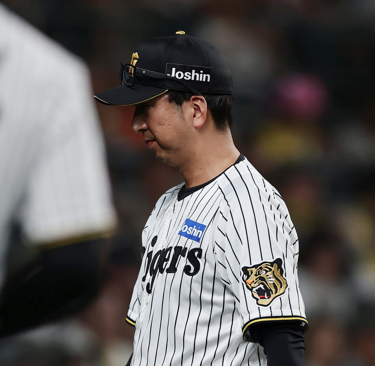 阪神対ヤクルト　8回表ヤクルト1死一、二塁、投手交代を告げベンチへ戻る藤川球児監督（撮影・前田充）