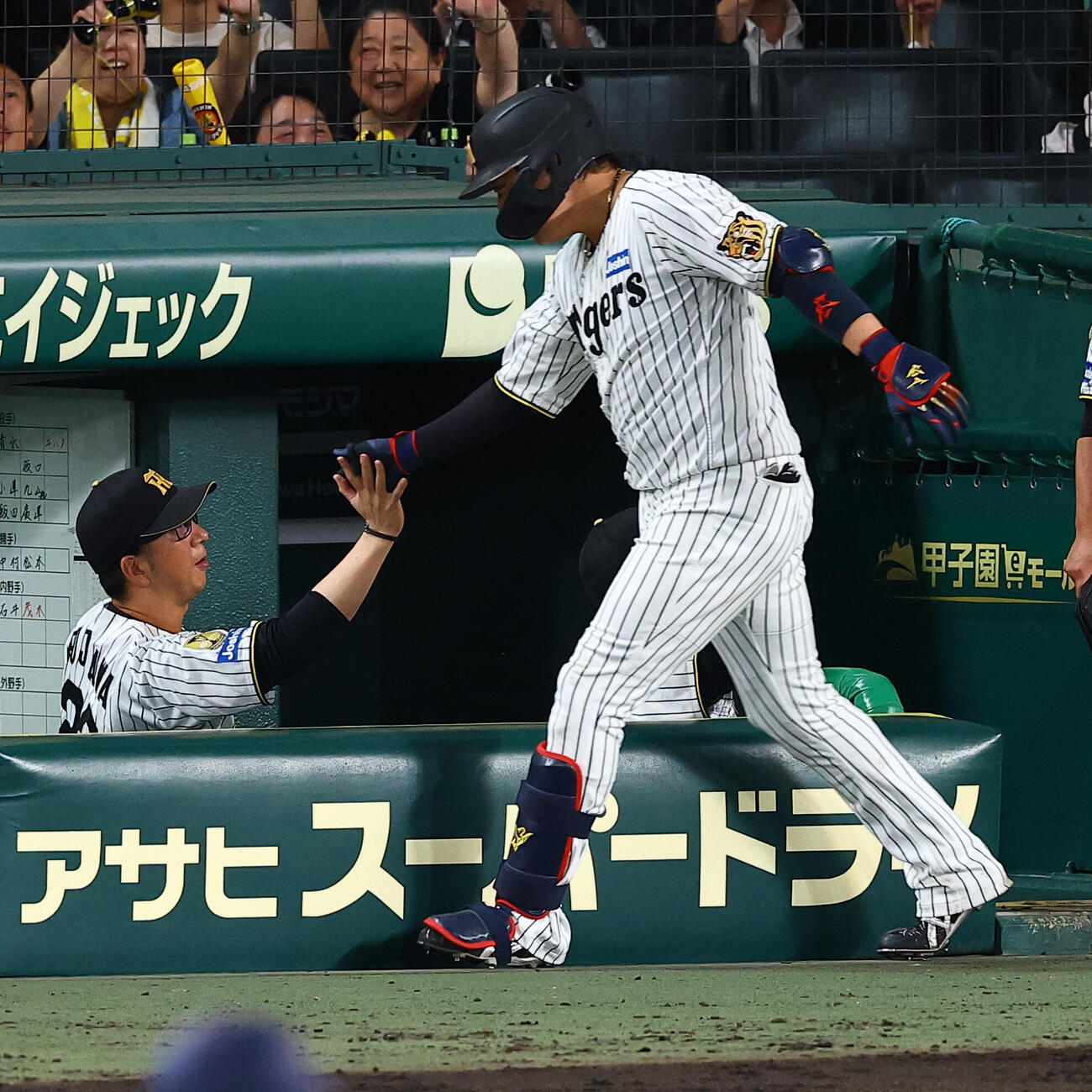 阪神対ヤクルト　8回裏阪神2死一塁、2点本塁打を放った大山悠輔とハイタッチする藤川球児監督（撮影・上田博志)