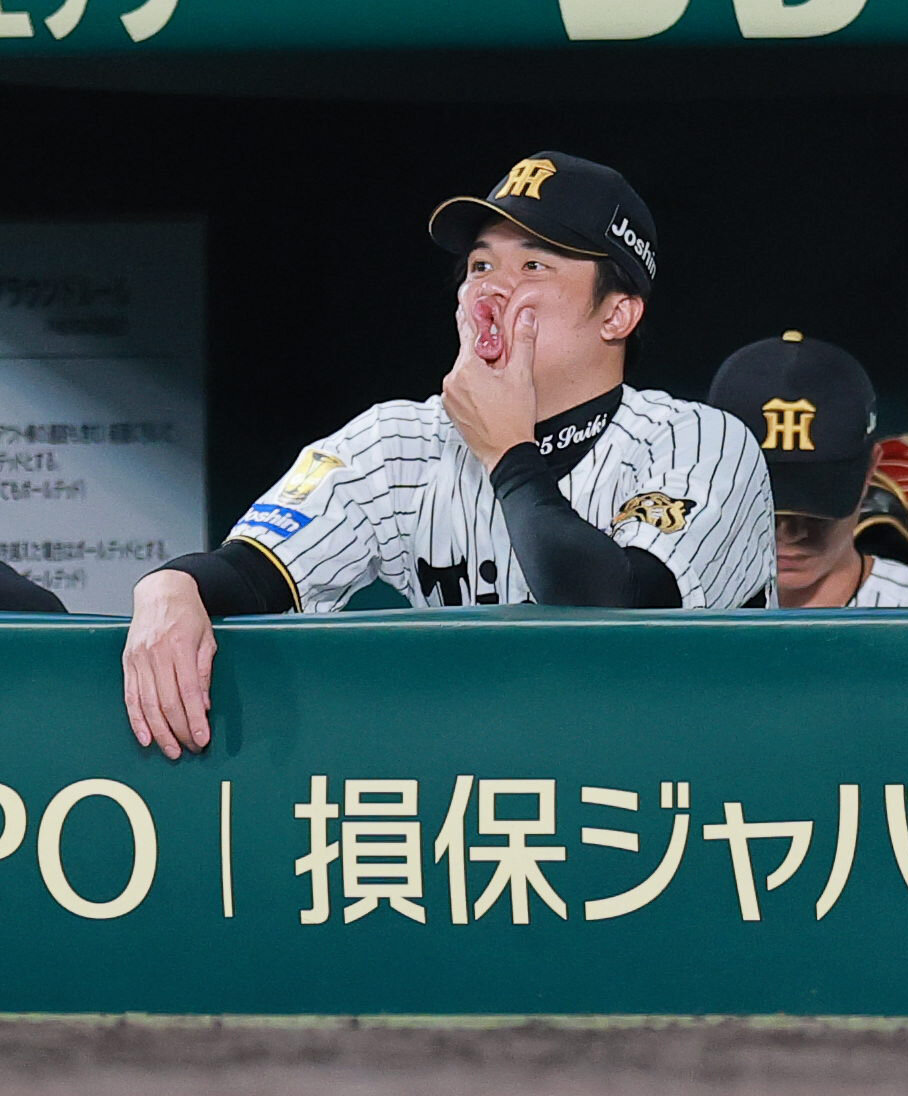 阪神対ヤクルト　8回表、ベンチからグラウンドを見つめる阪神才木浩人（撮影・上山淳一）
