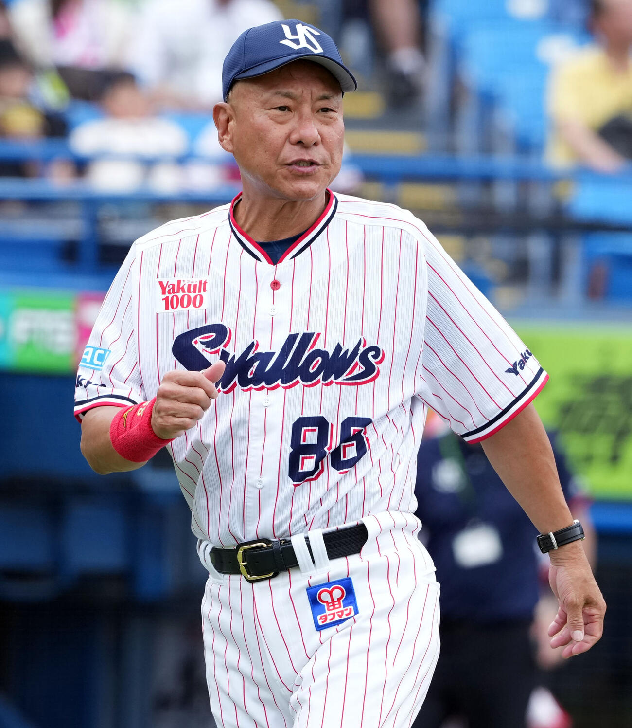 ヤクルト池山隆寛監督（2026年6月撮影）