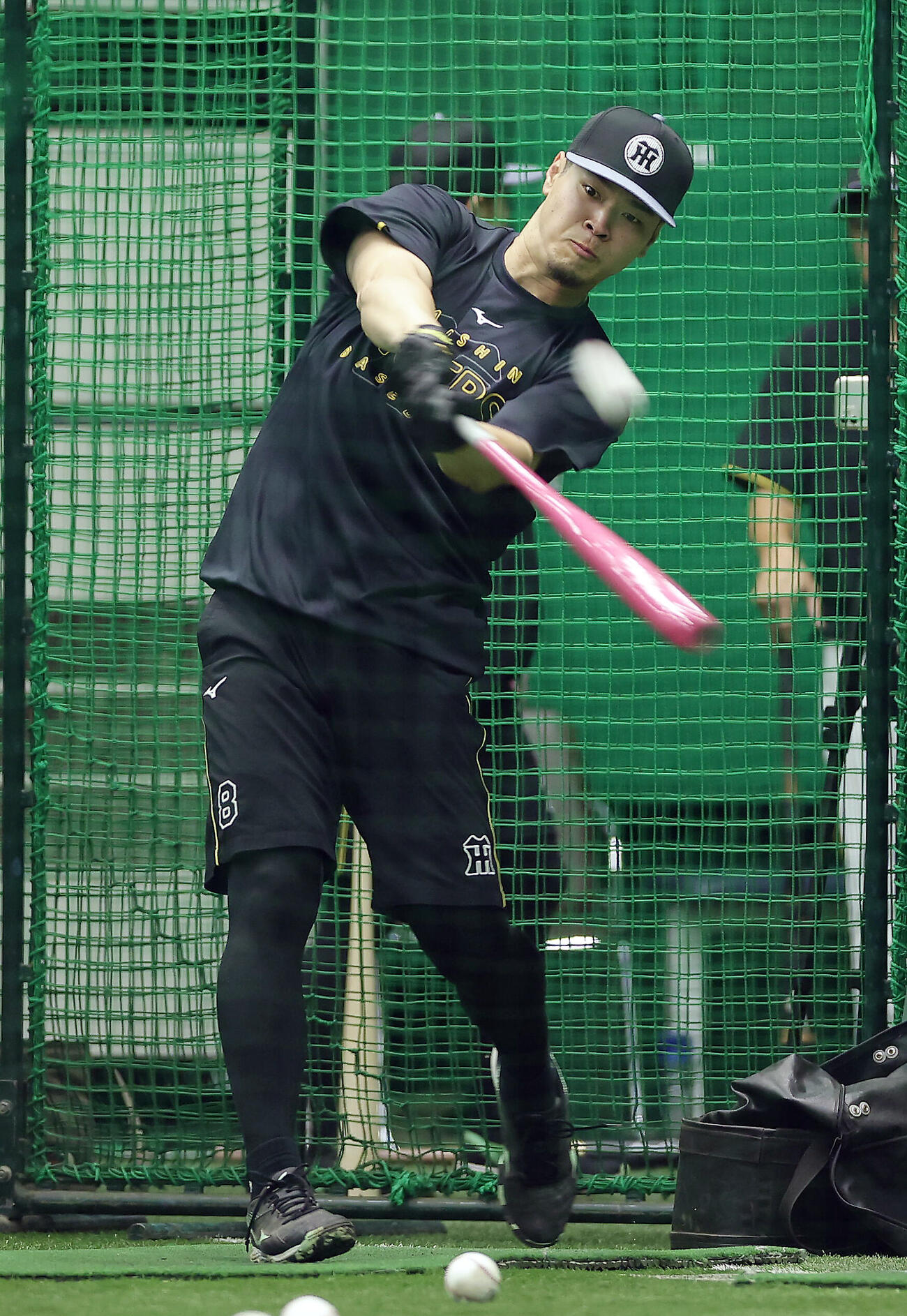 阪神対ヤクルト　打撃練習を行う阪神佐藤輝明（撮影・前田充）