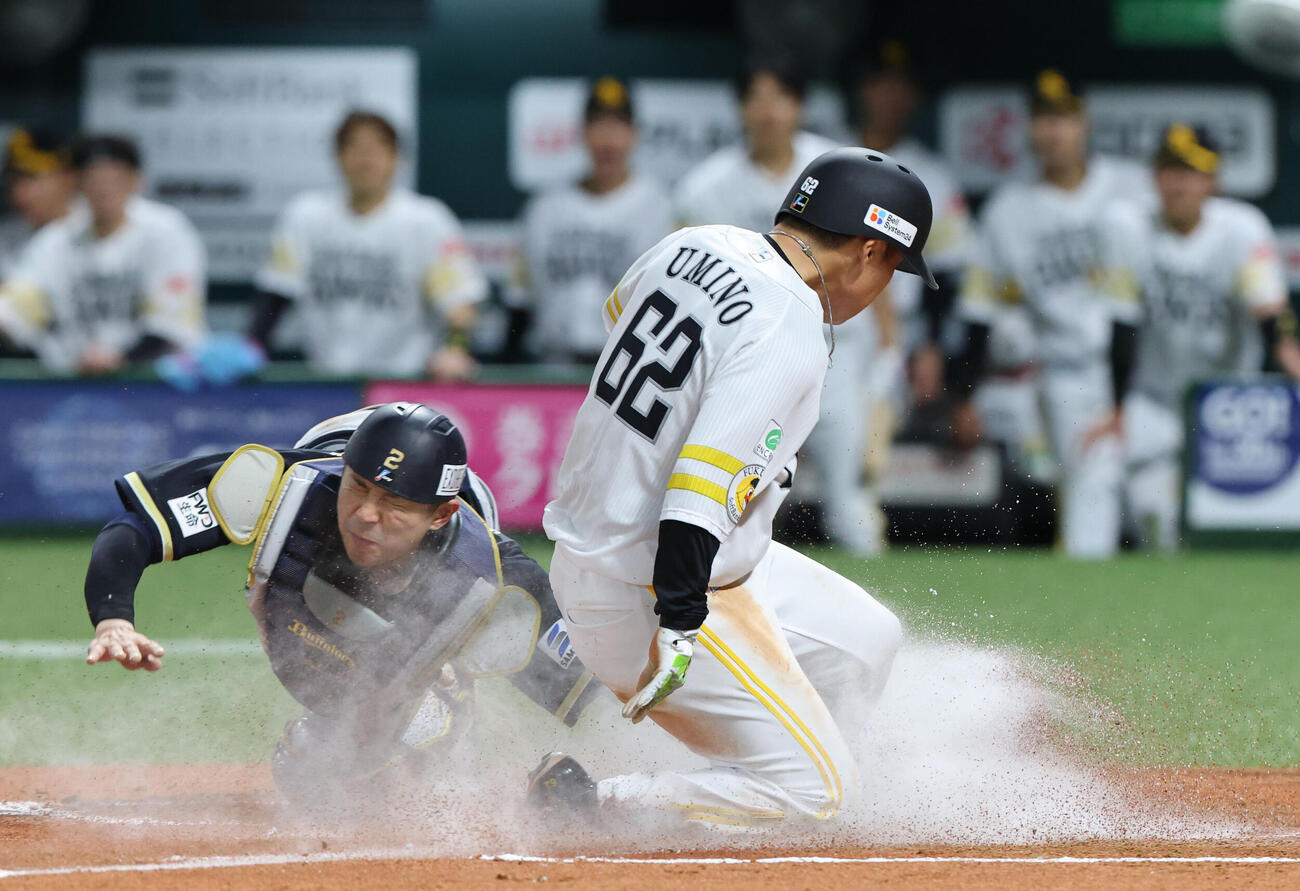 ソフトバンク対オリックス　6回裏ソフトバンク1死二、三塁、周東佑京の右犠飛で生還した海野隆司（撮影・梅根麻紀）