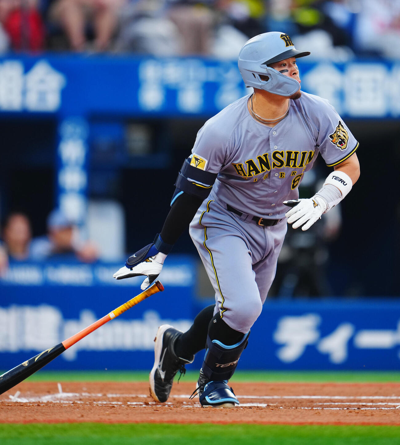 阪神佐藤輝明（2026年6月撮影）