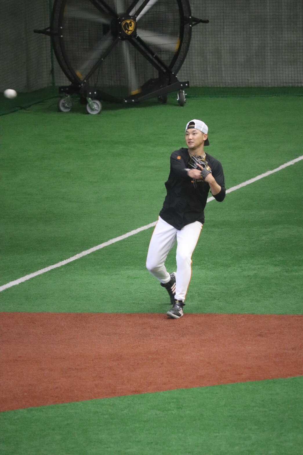 ジャイアンツ球場で汗を流す巨人吉川尚輝（撮影・小早川宗一郎)
