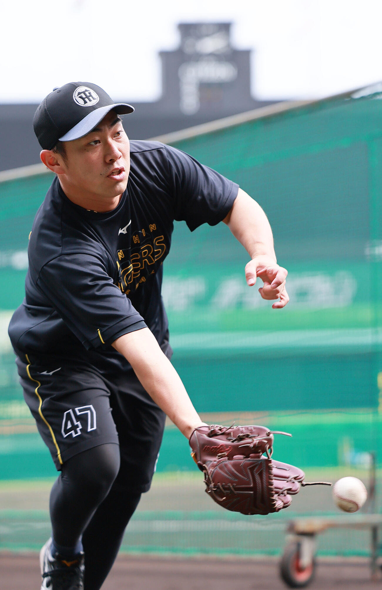 試合前の練習に励む阪神桐敷拓馬（2026年6月23日撮影）