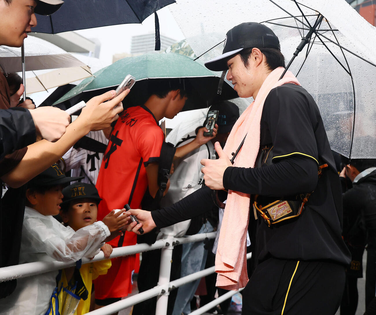 広島対阪神　練習を終えファンにサインする阪神中野拓夢（撮影・加藤哉）