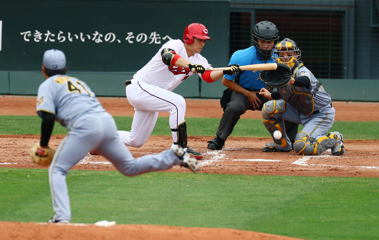 広島対阪神2回裏広島無死一、二塁、7番に入った床田寛樹は三塁線にバントを決める。投手村上頌樹（撮影・加藤哉）