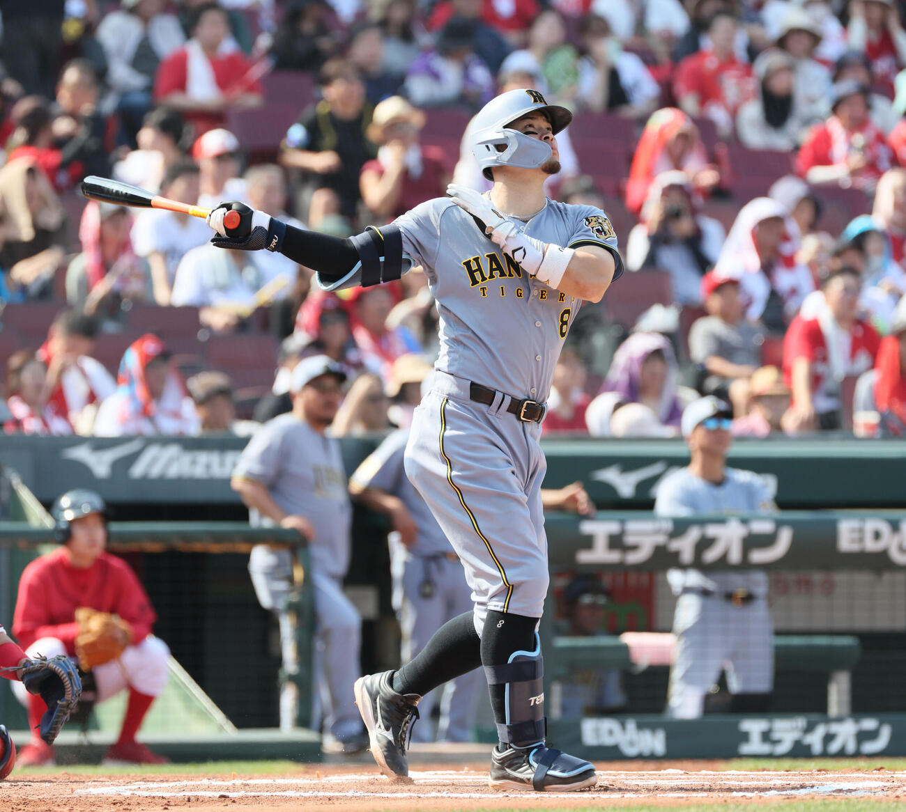 広島対阪神　6回表阪神無死、佐藤輝明は同点右越え本塁打を放つ（撮影・加藤孝規）