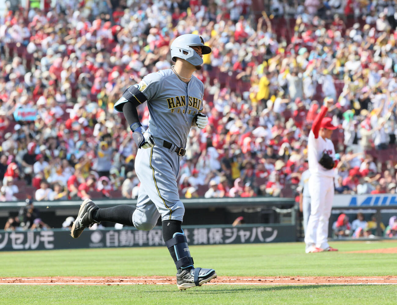 広島対阪神　6回表阪神無死、佐藤輝明は同点右越え本塁打を放つ。（右）は打たれた岡本駿（撮影・加藤孝規）