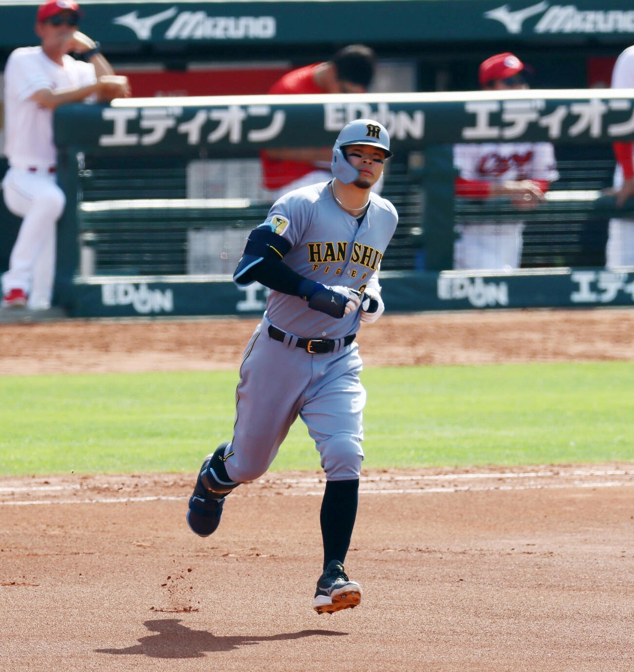 広島対阪神　6回表阪神無死、佐藤輝明は右越えソロ本塁打を放つ（撮影・加藤哉）
