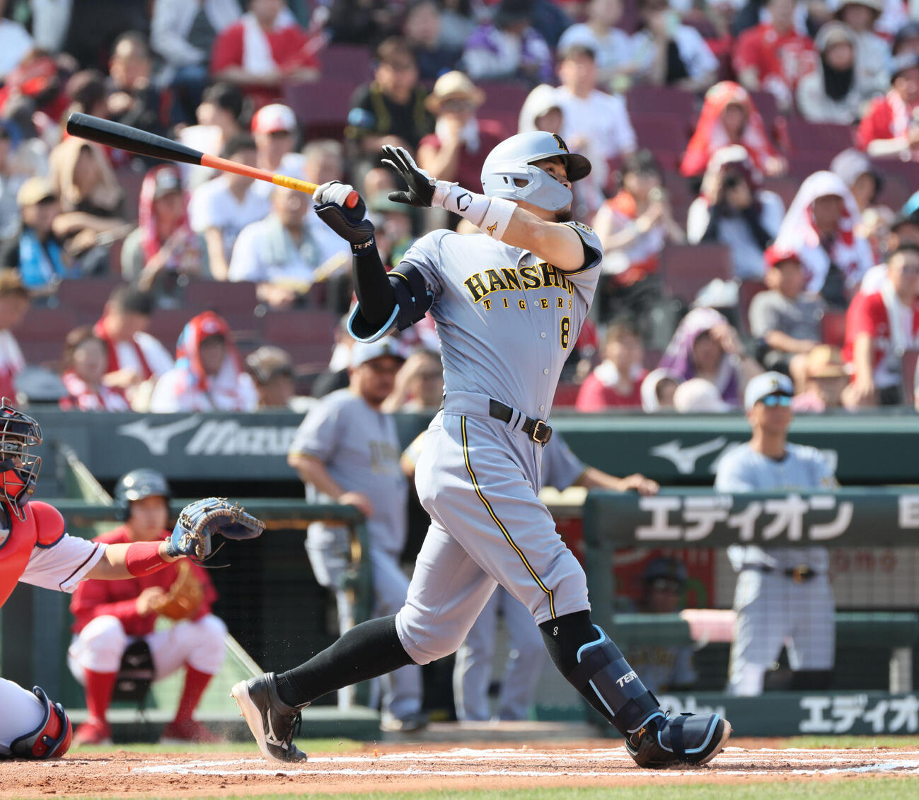 広島対阪神　6回表阪神無死、佐藤輝明は同点右越え本塁打を放つ（撮影・加藤孝規）