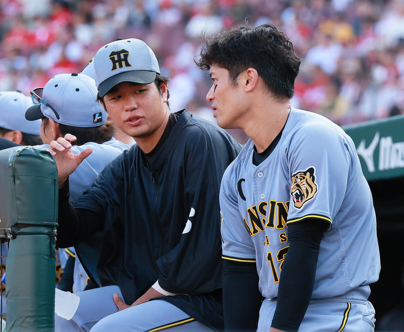 広島対阪神　登板を終えた阪神高橋遥人（左）はベンチで坂本誠志郎と話す（撮影・上山淳一）