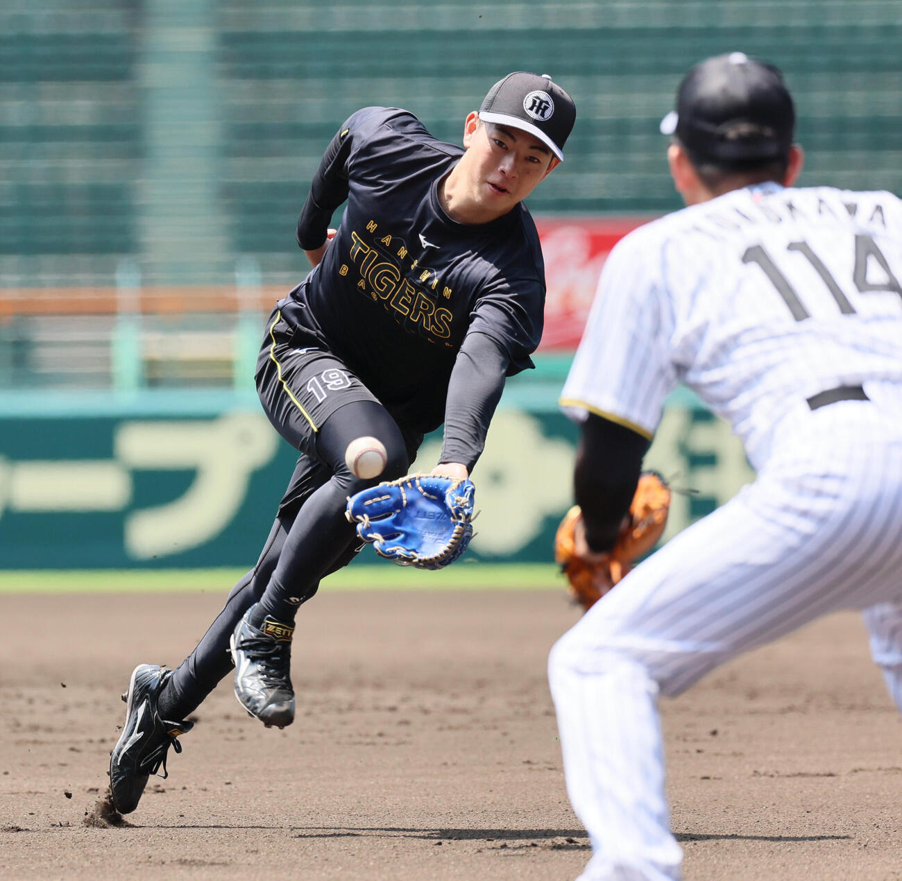 投内連係で軽快な動きを見せる阪神下村海翔（撮影・宮崎幸一）