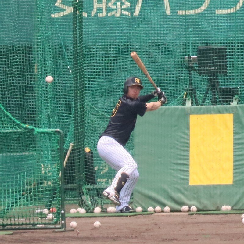 屋外フリー打撃を行う阪神近本光司外野手（撮影・村松万里子）