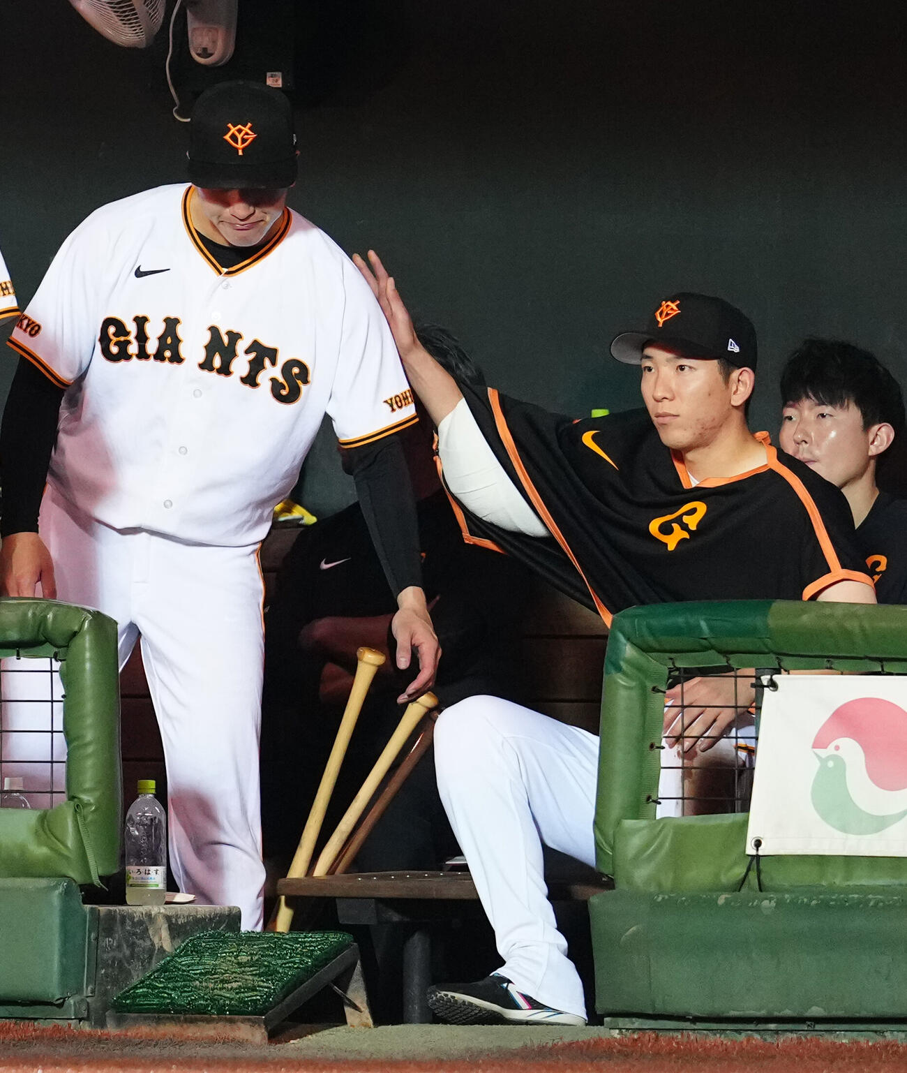巨人対ヤクルト　8回表、謝罪する巨人2番手の大勢（左）に手を添える先発の戸郷翔征