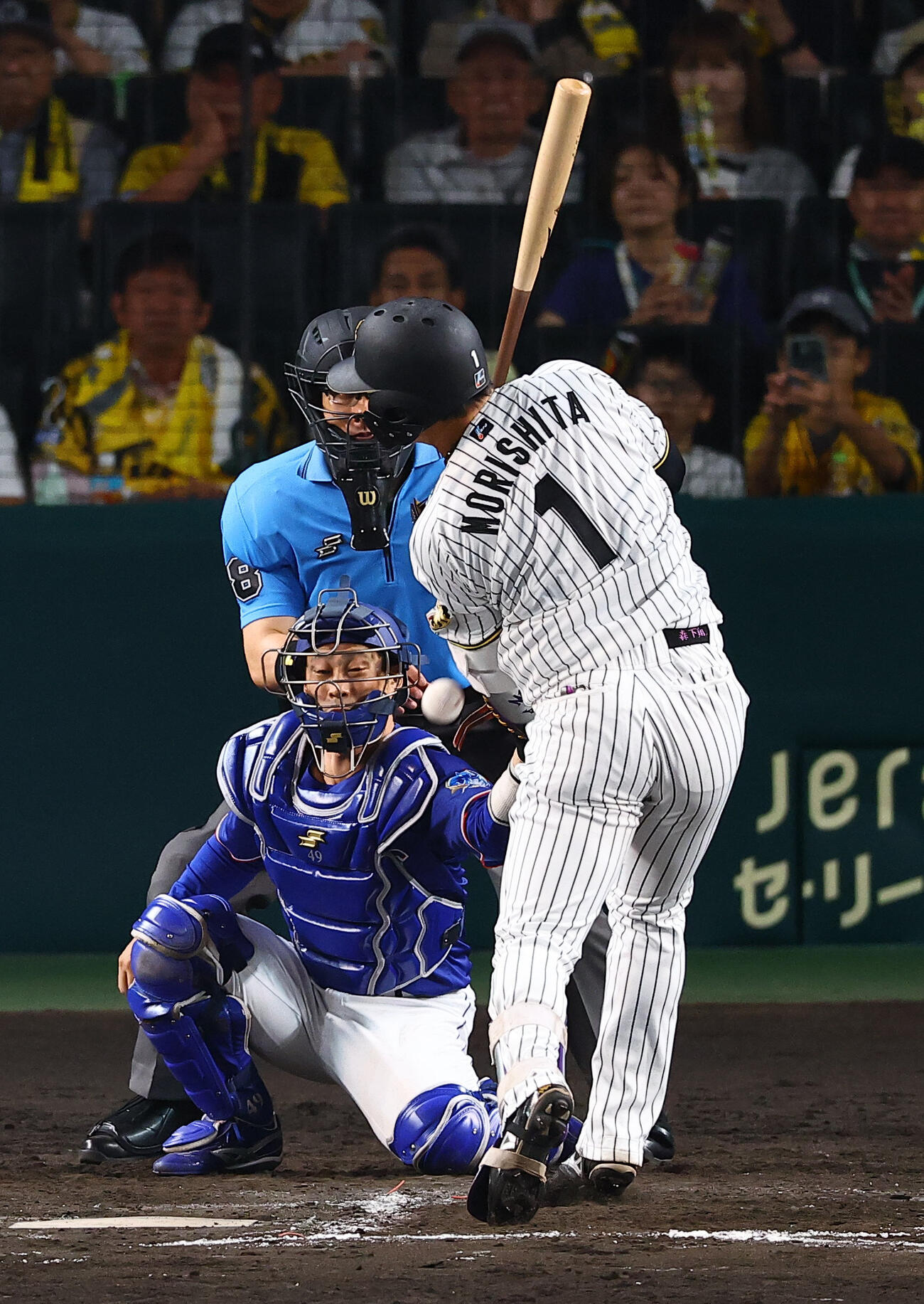 阪神対中日　8回裏阪神1死、森下翔太は死球を受ける（撮影・上田博志）